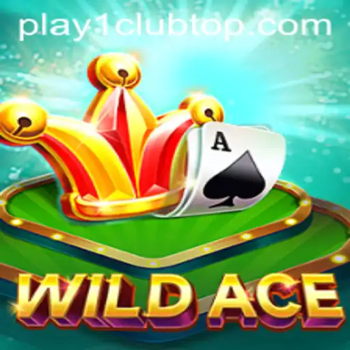 Discover the Thrilling World of WildAce at PLAY1.CLUB